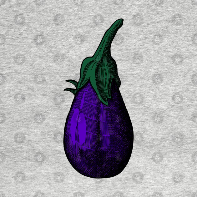 Eggplant by senkova